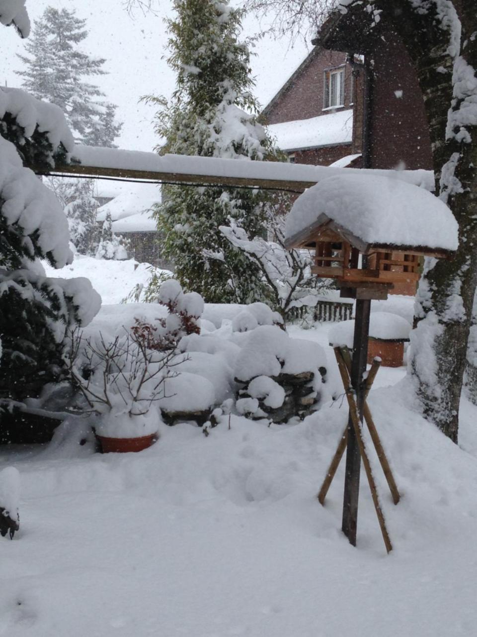 Ferienwohnung Milchgaessli Frutigen Buitenkant foto
